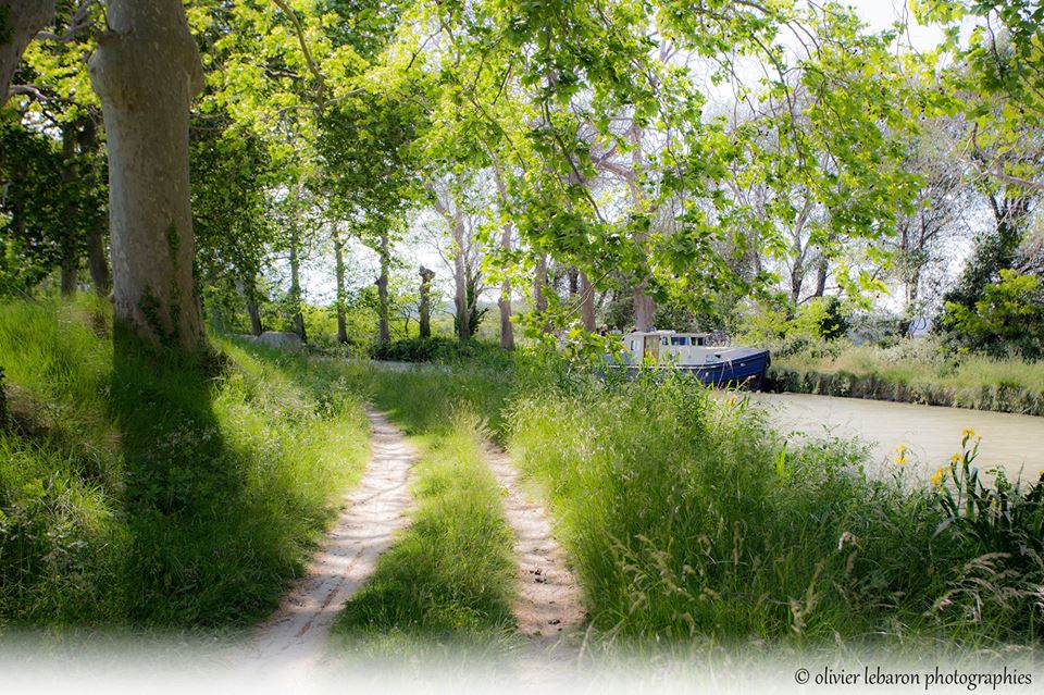 Canal du Midi, one of the most extraordinary feats of 17ème century